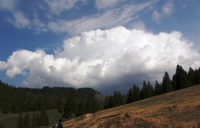 Zapadni Karpati, masivi Bihor i Vladeasa